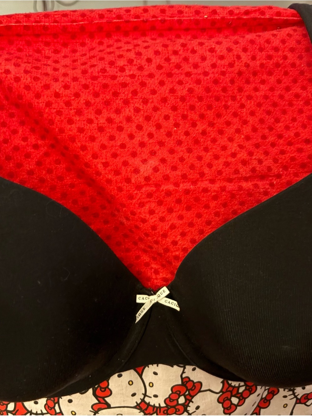 Cacique Black & Red Lace-Trim Plunge Bra